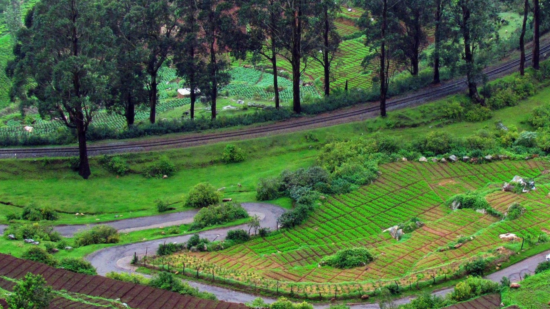 Ooty (2)-min
