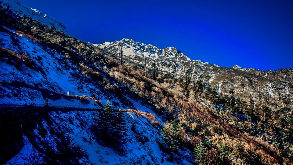Lachung