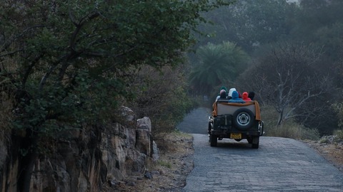 Ranthambore-min